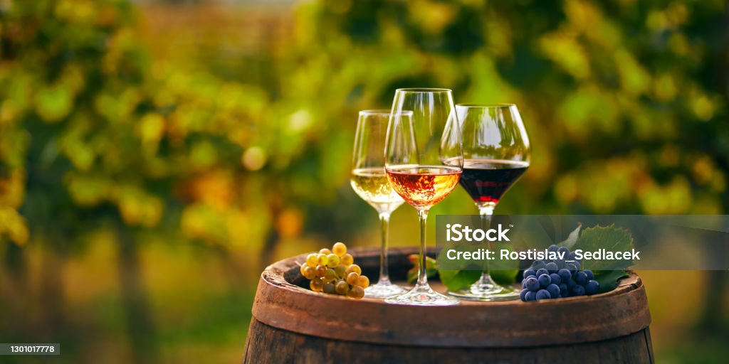 Wine glasses on a barrel in a vineyard